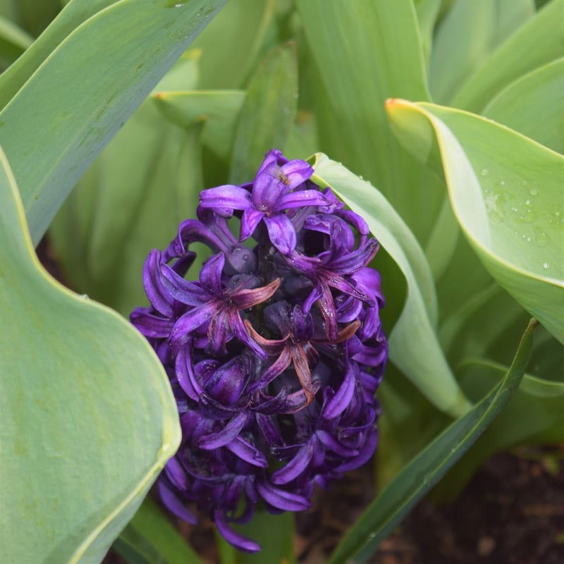Discover Hidden Gems
