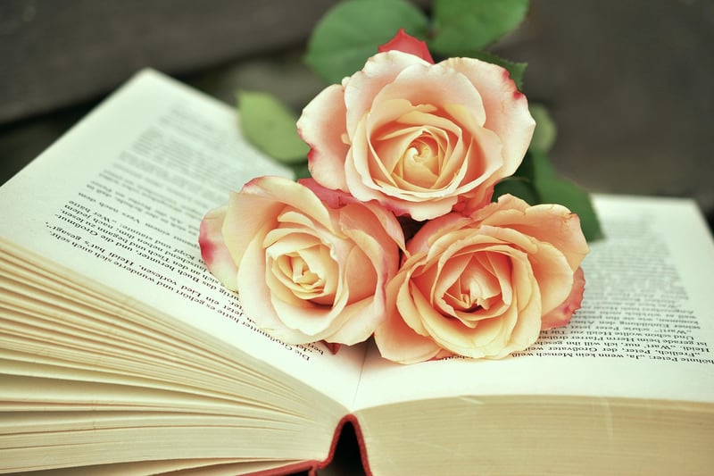 Book Discussion Image